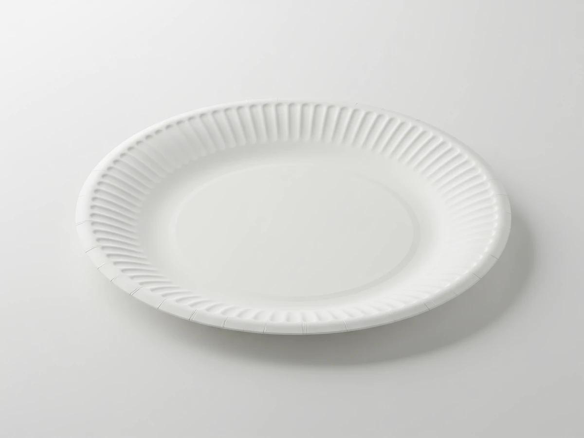 9 Inch Paper Plates (8 plates) - blank