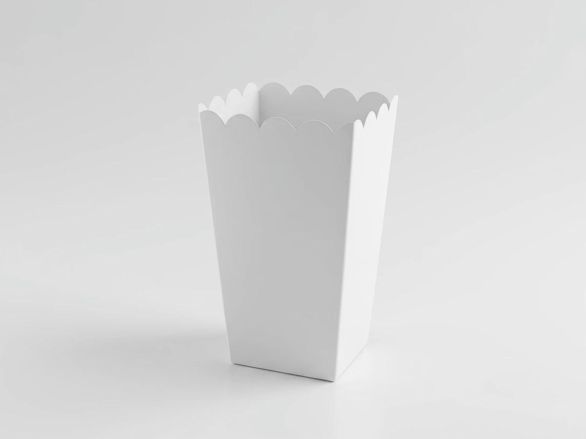 Popcorn Boxes (8 boxes) - blank